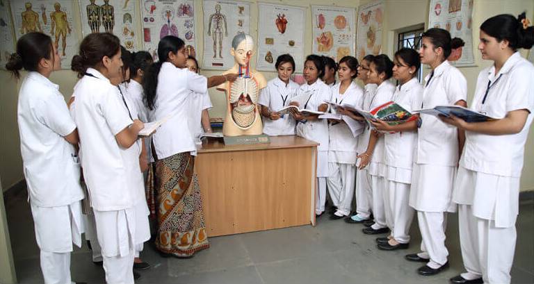 bsc nursing